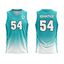 CAV Teal Jersey